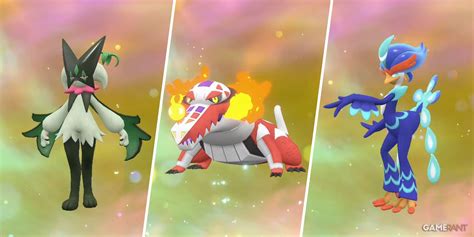 violet starter evolutions|Pokémon Scarlet and Violet Starter Evolutions,。